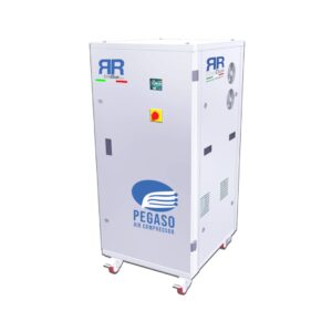 ErreDue Pegaso Air Compressor